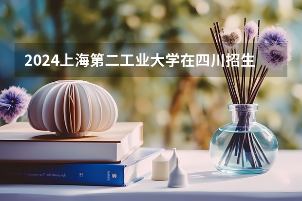2024上海第二工业大学在四川招生计划 招多少人