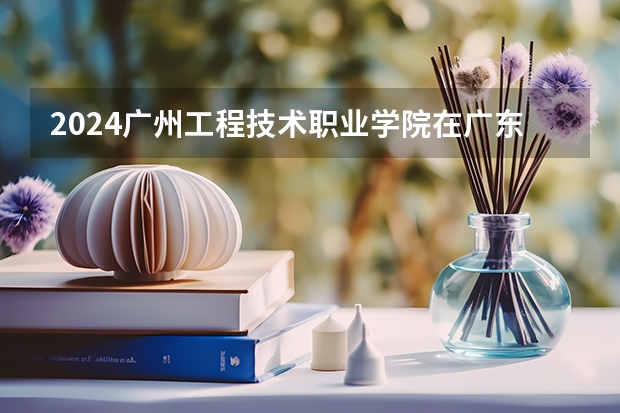 2024广州工程技术职业学院在广东招生计划 招多少人