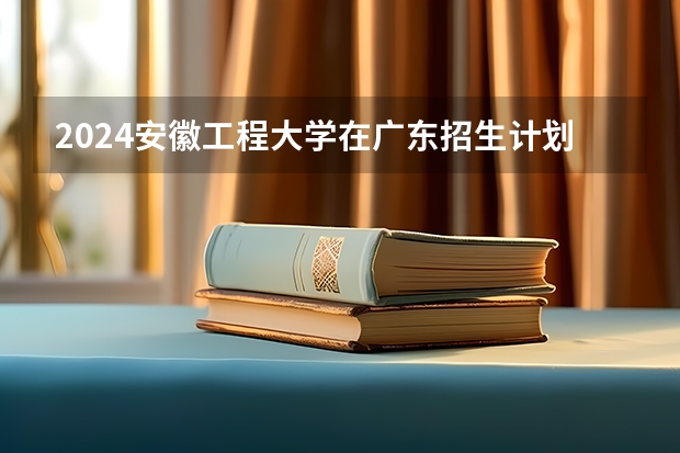 2024安徽工程大学在广东招生计划 招多少人