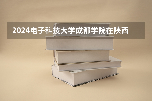 2024电子科技大学成都学院在陕西招生计划 招多少人