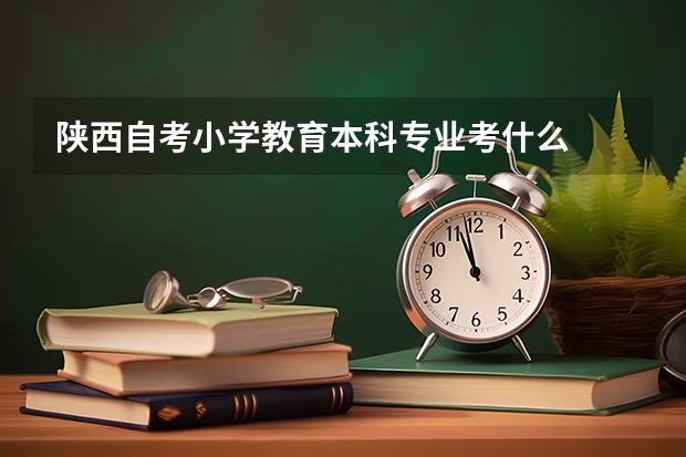 陕西自考小学教育本科专业考什么