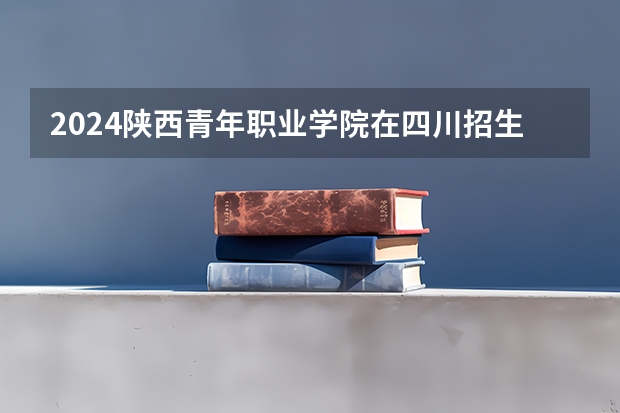 2024陕西青年职业学院在四川招生计划 招多少人