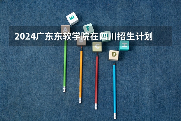 2024广东东软学院在四川招生计划 招多少人