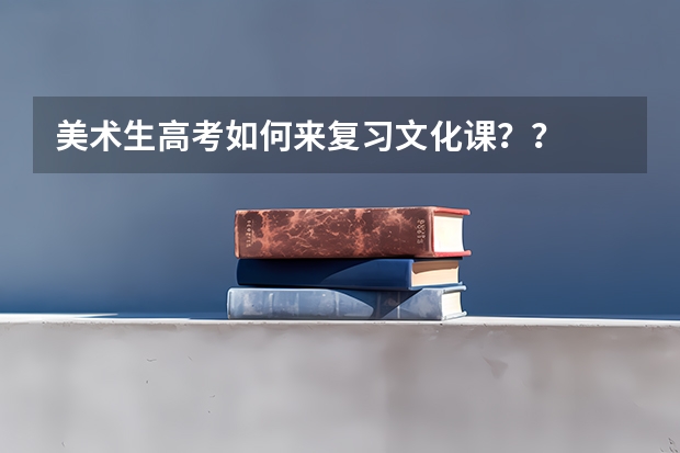 美术生高考如何来复习文化课？？