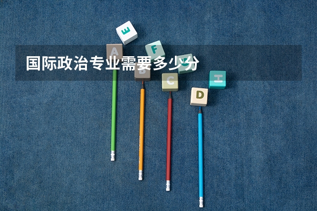 国际政治专业需要多少分