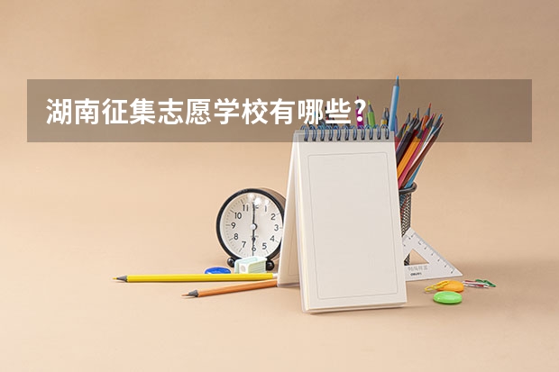 湖南征集志愿学校有哪些?