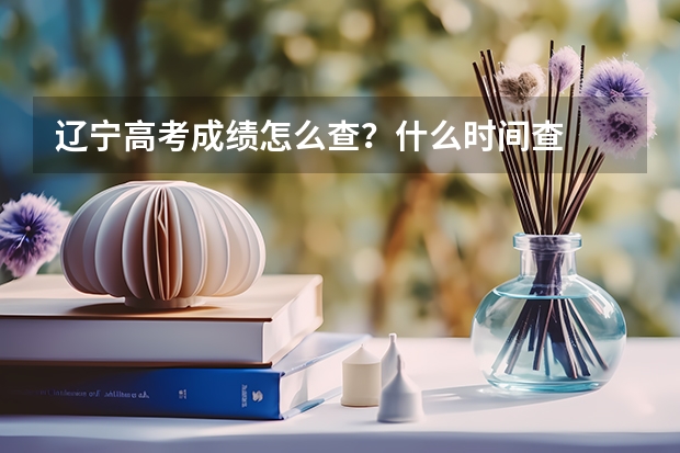 辽宁高考成绩怎么查？什么时间查