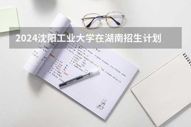 2024沈阳工业大学在湖南招生计划 招多少人