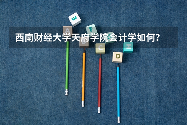西南财经大学天府学院会计学如何？