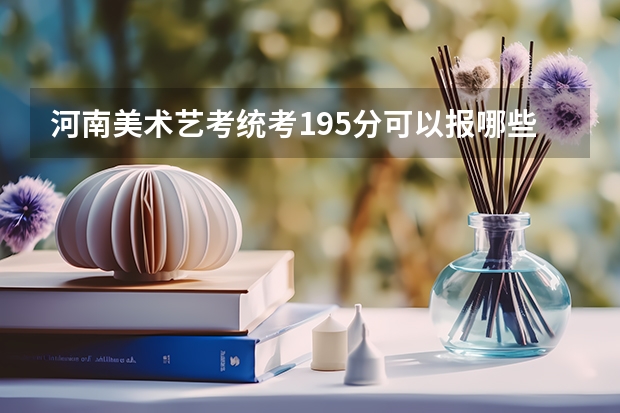 河南美术艺考统考195分可以报哪些学校？