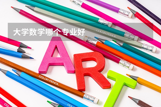 大学数学哪个专业好