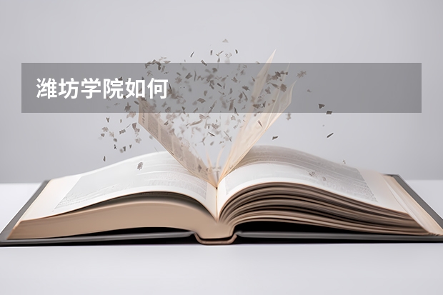潍坊学院如何