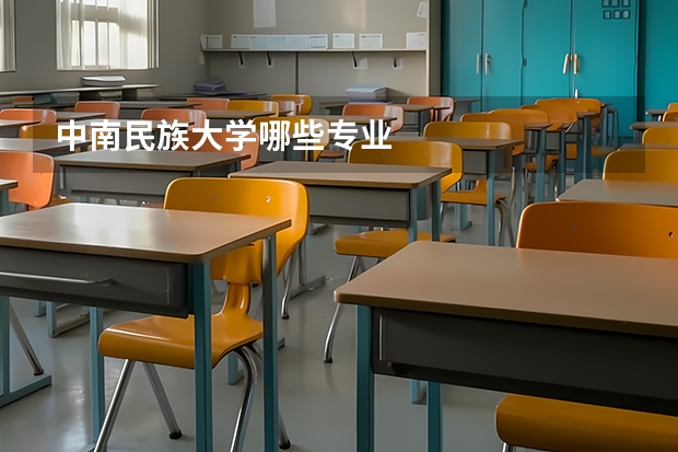 中南民族大学哪些专业
