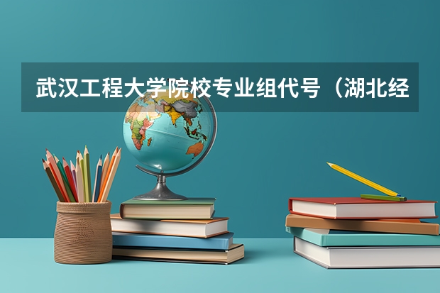 武汉工程大学院校专业组代号（湖北经济学院法商学院专业组代号）