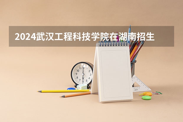 2024武汉工程科技学院在湖南招生计划 招多少人