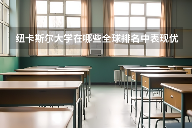 纽卡斯尔大学在哪些全球排名中表现优异？