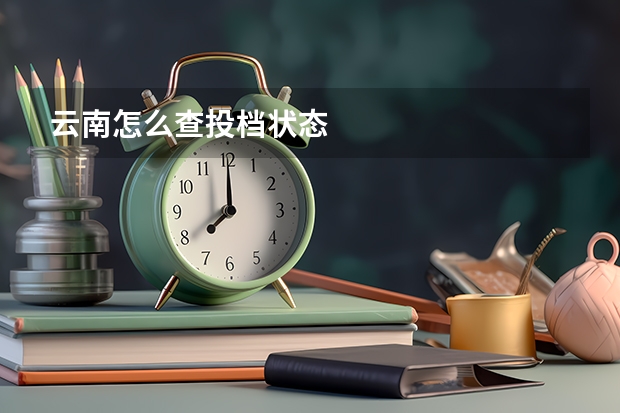 云南怎么查投档状态