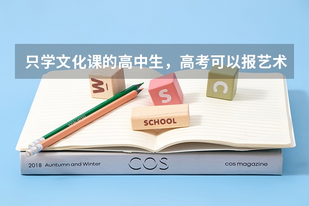 只学文化课的高中生，高考可以报艺术类院校吗？