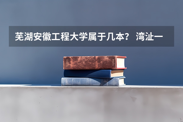 芜湖安徽工程大学属于几本？ 湾沚一中录取线2023年