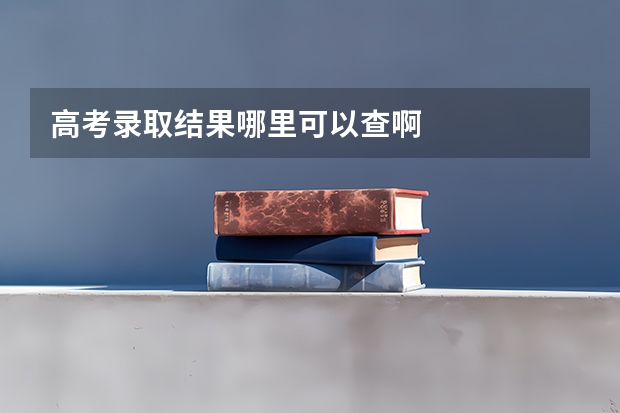 高考录取结果哪里可以查啊