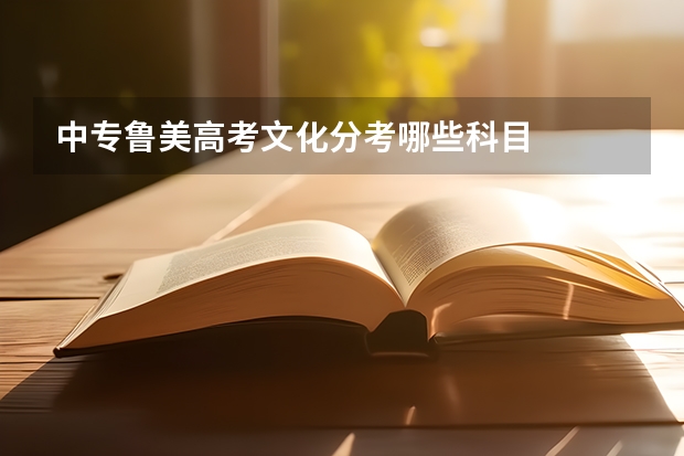 中专鲁美高考文化分考哪些科目