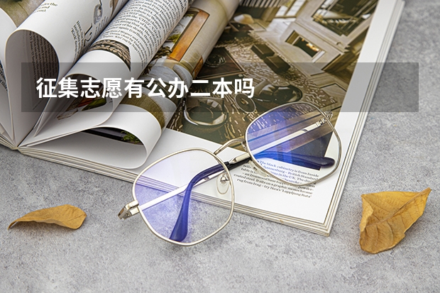 征集志愿有公办二本吗