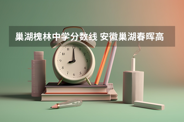 巢湖槐林中学分数线 安徽巢湖春晖高考分数查询？