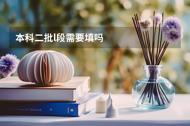 本科二批l段需要填吗