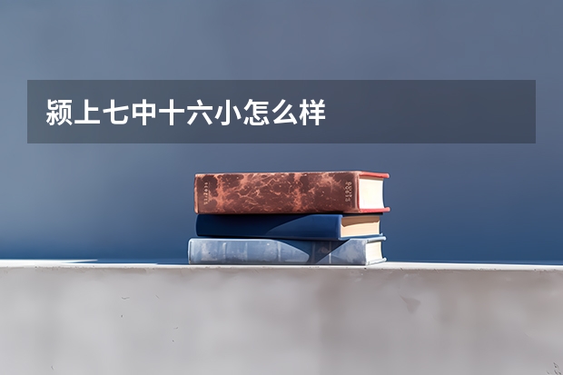 颍上七中十六小怎么样