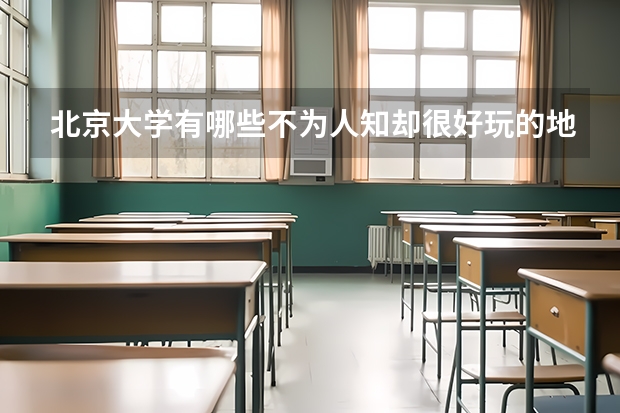 北京大学有哪些不为人知却很好玩的地方？