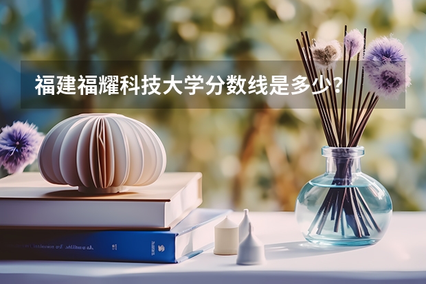 福建福耀科技大学分数线是多少？