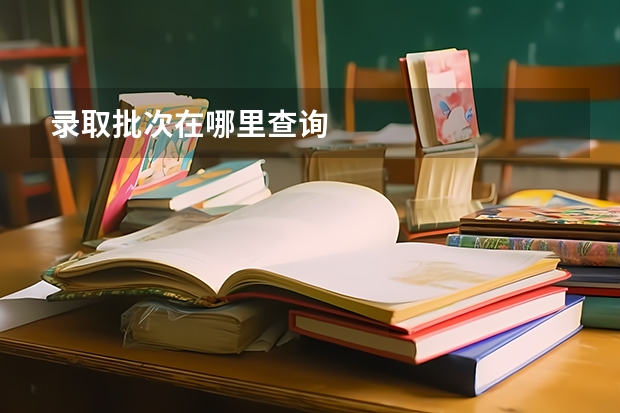 录取批次在哪里查询