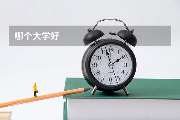哪个大学好