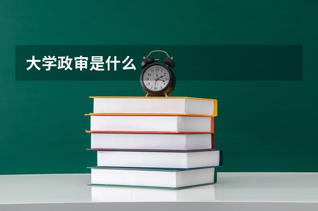 大学政审是什么
