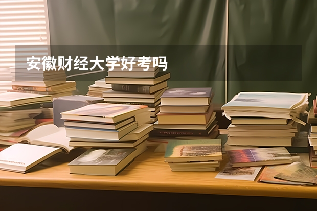 安徽财经大学好考吗
