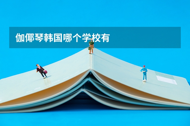 伽倻琴韩国哪个学校有