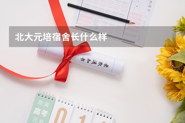 北大元培宿舍长什么样