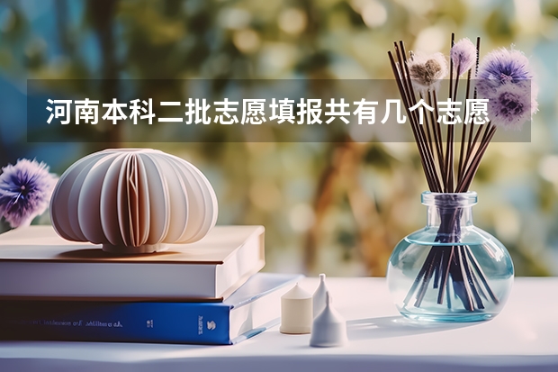 河南本科二批志愿填报共有几个志愿 河南省本科二批网上填报志愿时间