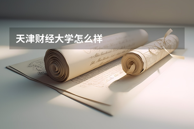 天津财经大学怎么样