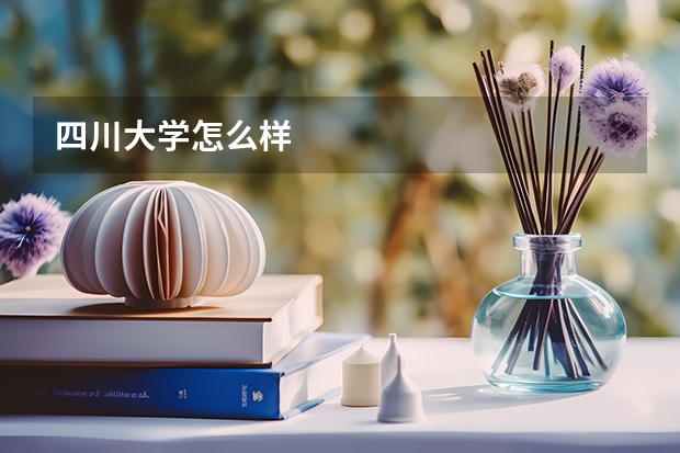 四川大学怎么样