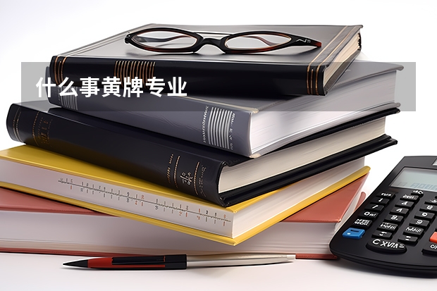 什么事黄牌专业