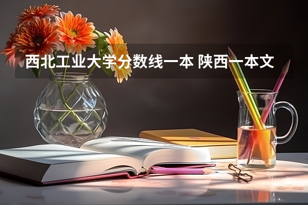 西北工业大学分数线一本 陕西一本文科大学排名及分数线