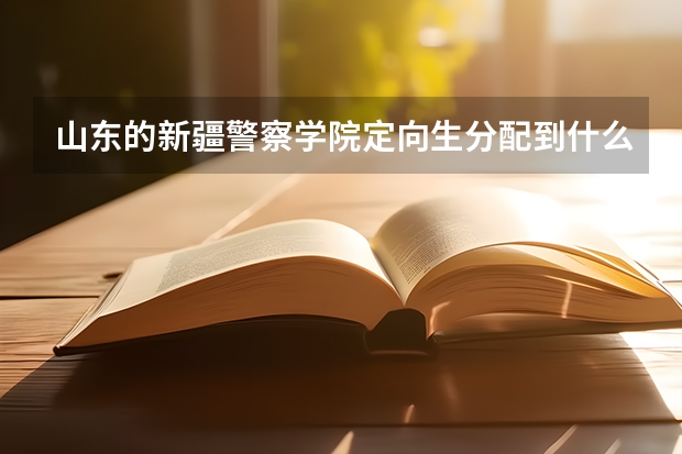 山东的新疆警察学院定向生分配到什么单位