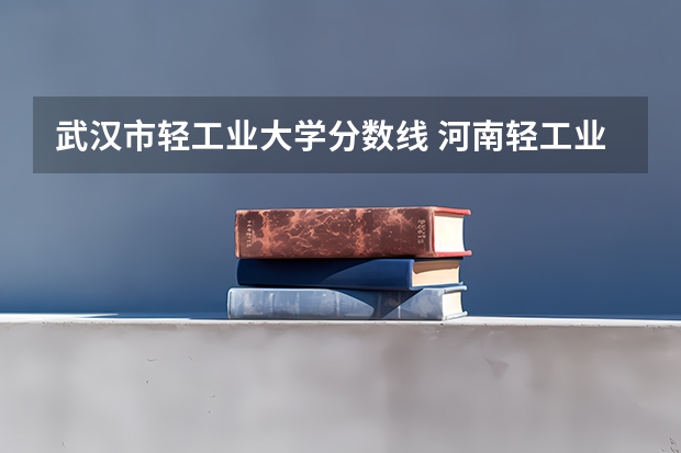 武汉市轻工业大学分数线 河南轻工业大学录取线