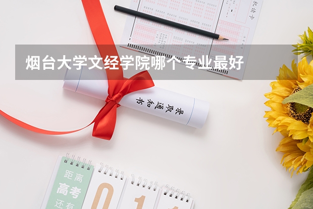 烟台大学文经学院哪个专业最好