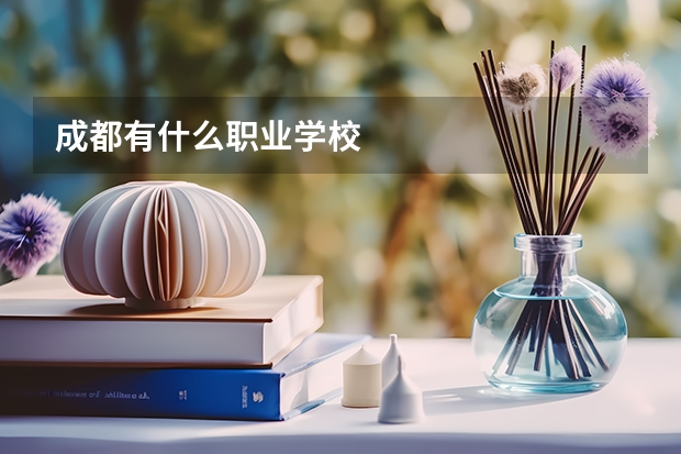 成都有什么职业学校
