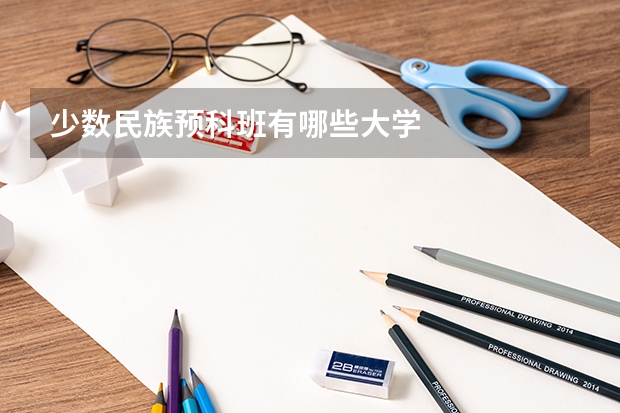 少数民族预科班有哪些大学