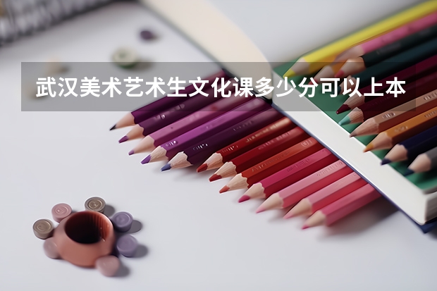 武汉美术艺术生文化课多少分可以上本科大学