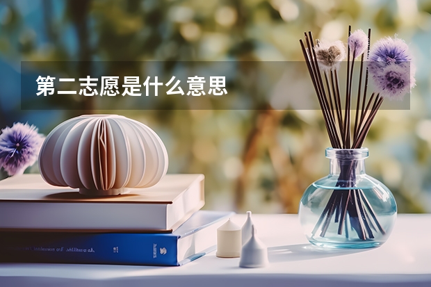 第二志愿是什么意思