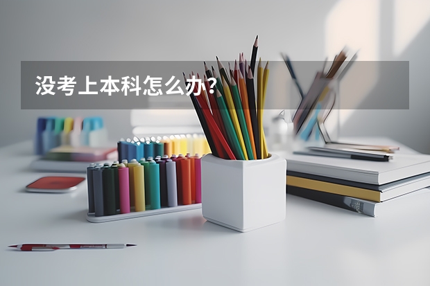 没考上本科怎么办?